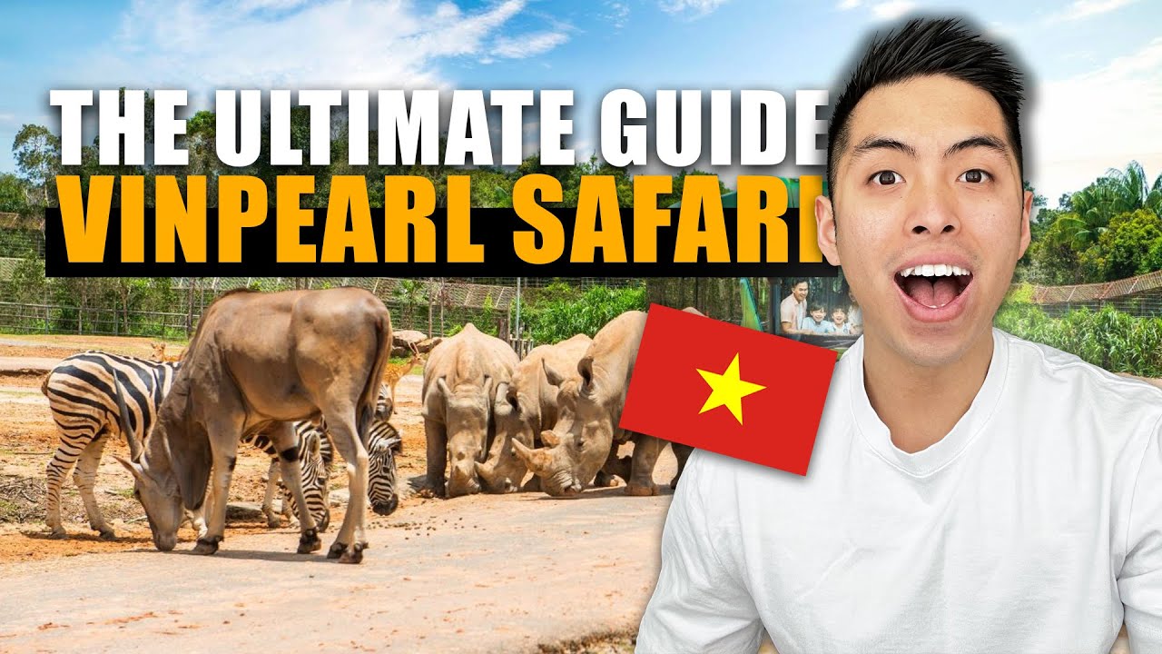 Experience a fascinating peek of Vinpearl Safari.