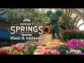 Disney Springs Music Ambience Nostalgic Fountain Sounds For Relax Study Sleep