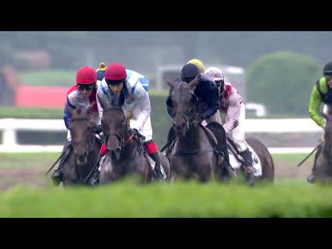 PE, 20. 6. 2020, 4. dostih - Cena za podpory PREMIN