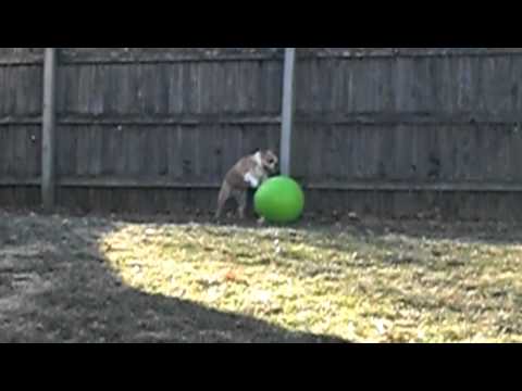 Butters vs. The Big Green Ball