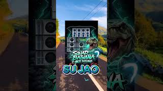 Download lagu I.R.T WAYASE _ SU JAO _ REMIX EDWAR G 2026 .. mp3