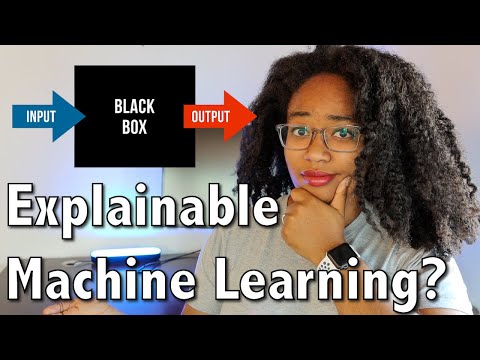 What Is Explainable AI? | Explainable vs Interpretable Machine Learning