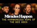 Miracles Happen – The Harmonized Hope of the Bee Gees