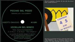 uccellin del bosco - picchio dal pozzo