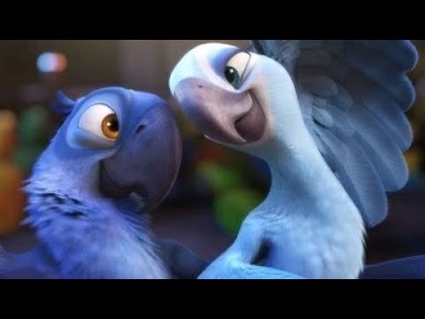 (Favo de Mel) Rio Trailer Song