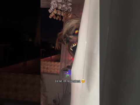 The Chupacabra swallowed a light #apparitions #horror #paranormal #chupacabra