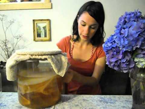 , title : 'Brewing Kombucha at home. Video 1: Starting out.'