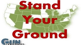 4 Points on "Stand Your Ground" Laws