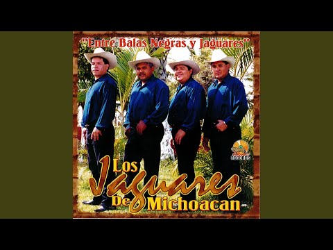 Entre Lujos Y Placeres