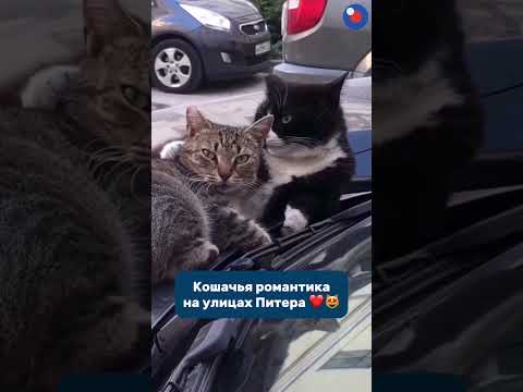 Планы на майские, если вы еще ничего не придумали ❤️😻