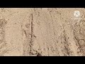 Sesame Street Beach Letters Remake L