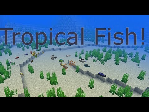18w10b - Tropical Fish | Minecraft: Snapshot