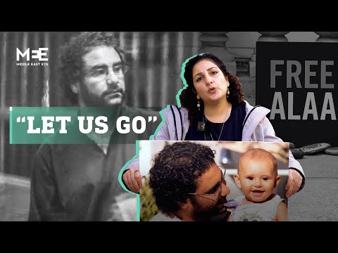 Family of British-Egyptian activist Alaa Abdel Fattah pleads with UK government for help