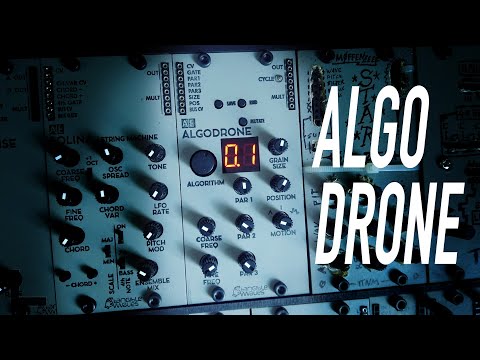 AE Modular ALGODRONE Overview // Modular Synth Bytebeats! #TTNM