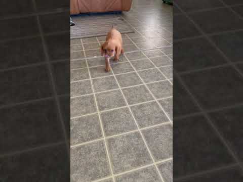 Ffffffffffffffffffffffffffffffffffffffffffff