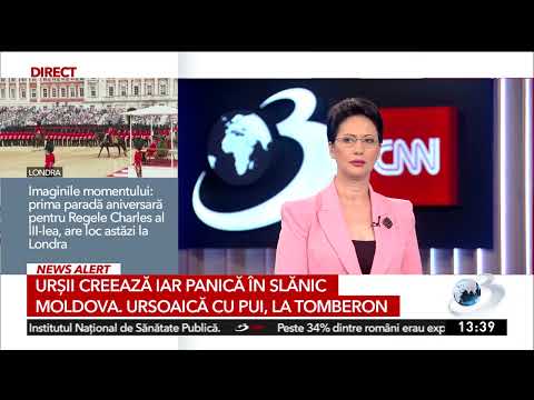 Ursoaică cu pui, filmată în apropierea blocurilor, în Slănic Moldova