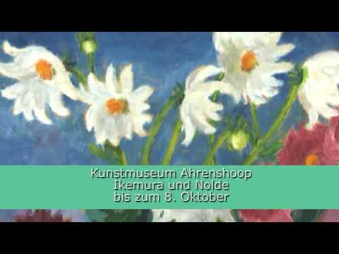 Museumsführer vom 01.09.2017