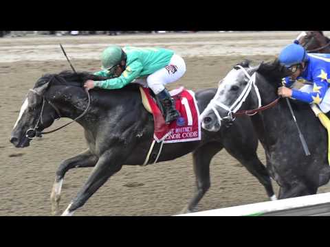 That Handicapping Show: Breeders' Cup Classic