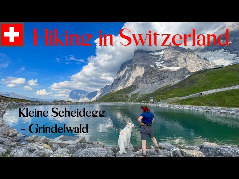Escape the heatwave Grindelwald Kleine Scheidegg Switzerland 4K