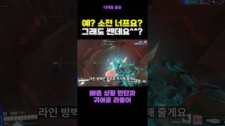 소전은 아직 정정합니다