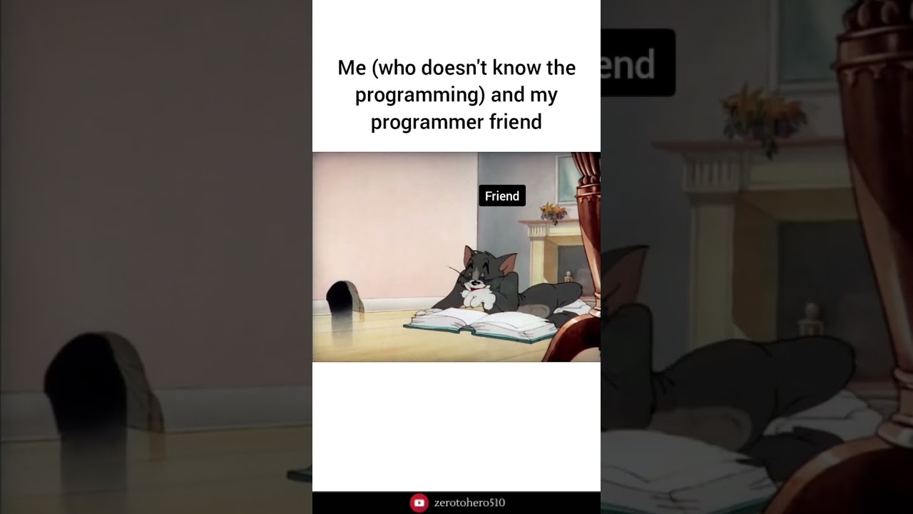 Story of every non programmer 😅