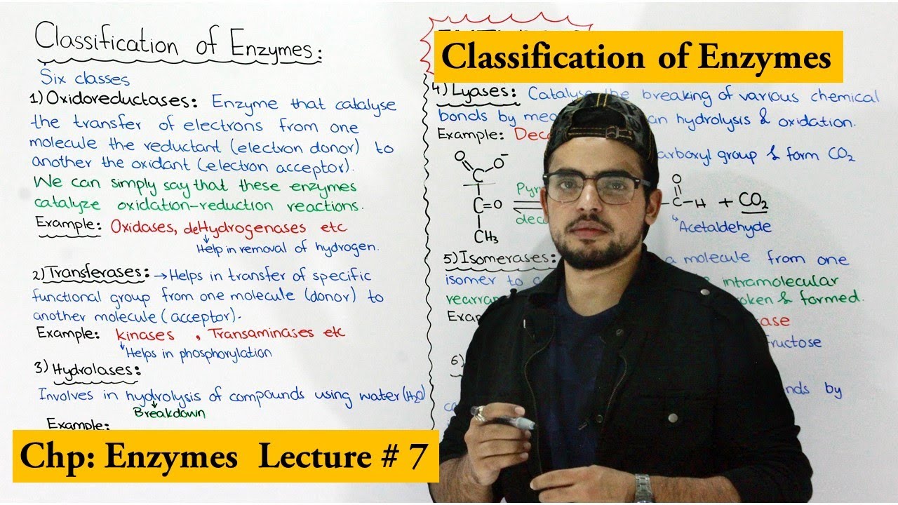 Classification of enzymes