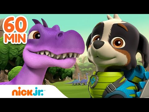 Rex Leads the PAW Patrol on Dinosaur Rescues! 🦖 w/ Chase & Skye | 60 Minute Compilation | Nick Jr.