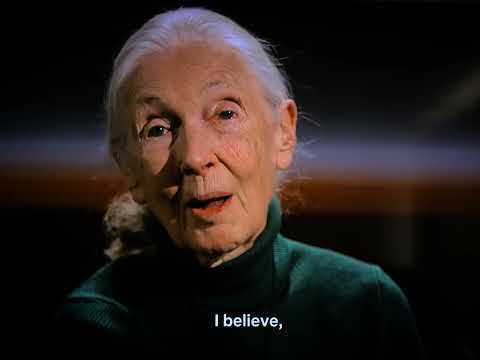 Words in Action by Legendary Jane Goodall