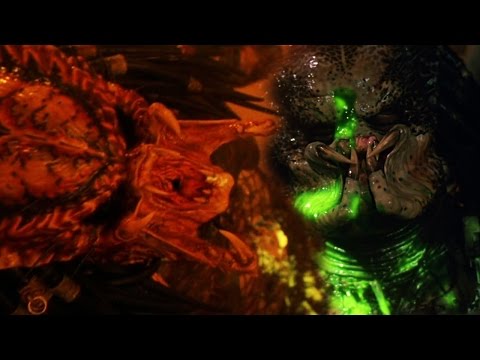 WHY DO PREDATORS ALWAYS GET DEFEATED IN THE MOVIES?