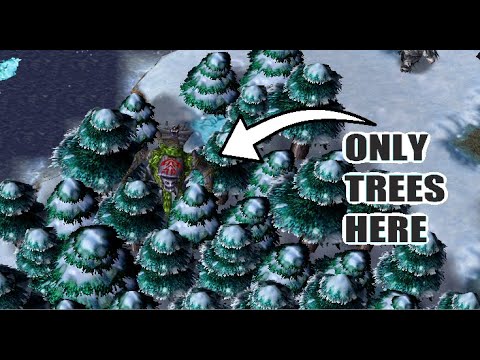 Infamous NE fake afk tactic | Warcraft 3 Classic