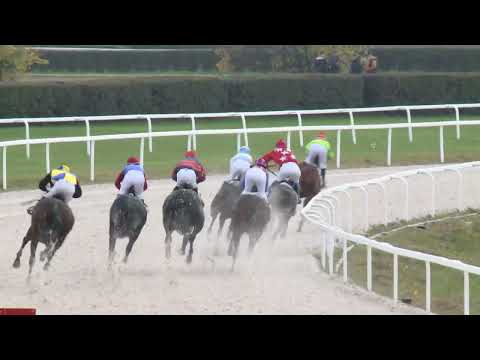 2022.10.30. 04. futam - BAYER ANDRÁS EMLÉKVERSENY HENDIKEP (III.o.) (szintetikus pálya)