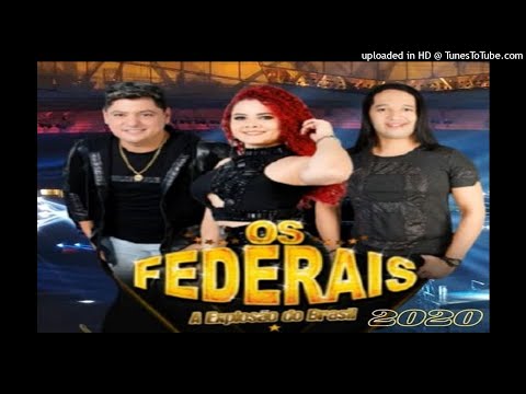 OS FEDERAIS A EXPLOSÃO DO BRASIL 2020