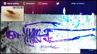 Video ZQ435c82: Pt46