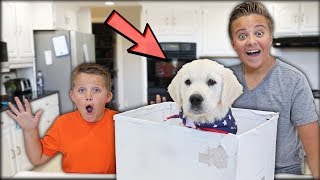 SURPRISING MY LITTLE BROTHER WITH A PUPPY! * EMOTIONAL *