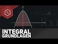 Integration Basics Integral