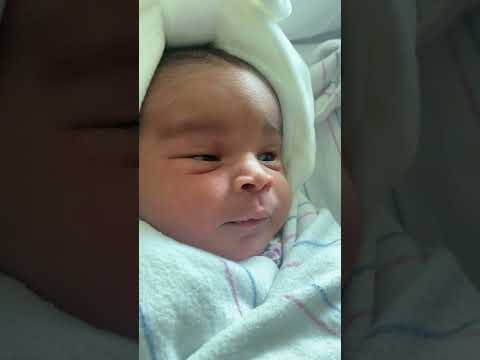 Konviksyon press G.M.S