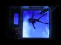 Natural - Prescription Pills ("Saboteur" by Amon Tobin)