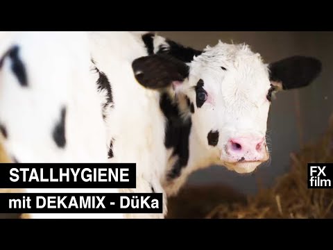 Stallhygiene mit Dekamix - DüKa