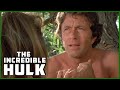 Banner Finds Companionship Despite His Curse Season 3 Episode 22 The Incredible Hulk