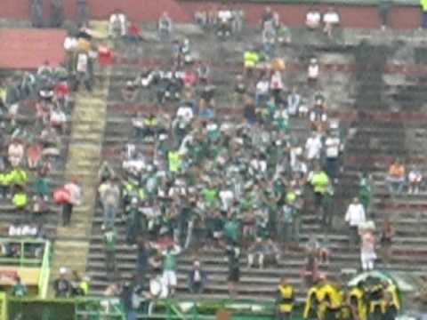 Palmeiras Vs Ipatinga 2008