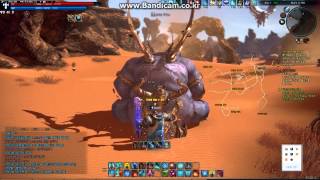 사제 쿠마스솔플(참고용)