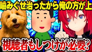 犬のしつけ話をしていたら視聴者がマウントしはじめそっちのシツケもしなくちゃいけないと気づくアンジュ【にじさんじ切り抜き】【アンジュカトリーナ】