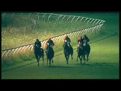 Galoppo 01/08/2020 - 5ª corsa