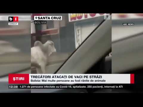 BOLIVIA - TRECATORI ATACATI DE VACI PE STRAZI_Stiri B1_12 iunie 2021