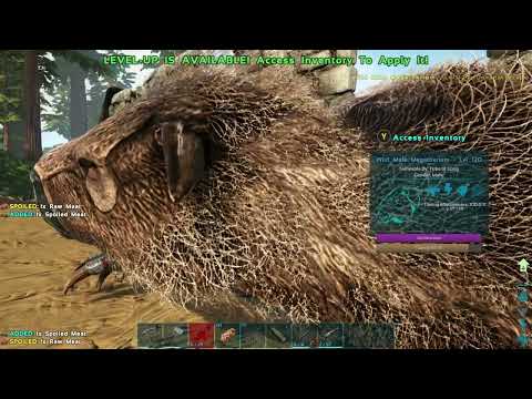 Road to Ark Genesis 2 - Taming Megatherium - Single Player S1E4 - XBOX