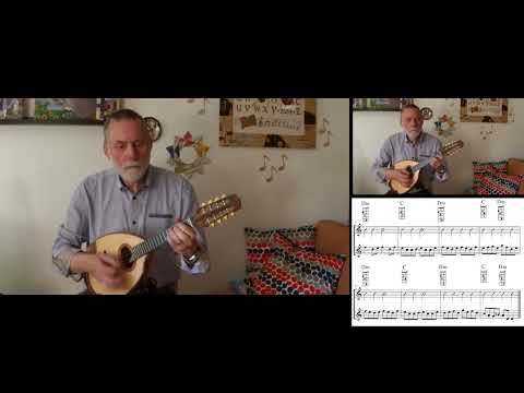 Templehouse Reel - Akkorde D-Moll und C-Dur - Mandoline lernen Kapitel 10