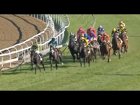 WATERBERRY LANE - Durban Golden Horseshoe (Gr2)