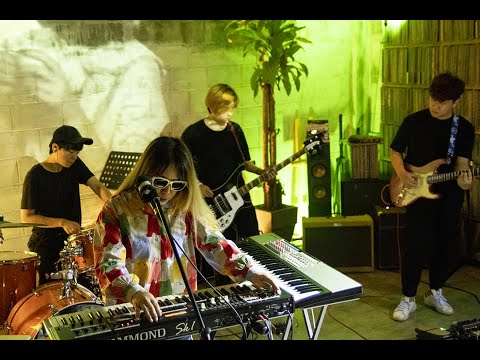 정글줄리 Jungle Julie / Warp