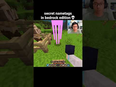 Minecraft Secret Nametags Moment