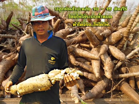 Exciter สำหรับยานสำรวจผู้หญิง ความคิดเห็นของการรักษาความอ่อนแอ